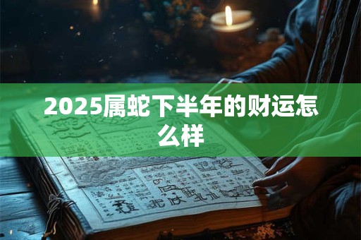 2025属蛇下半年的财运怎么样