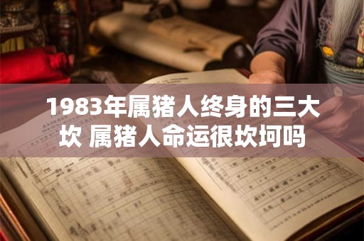 1983年属猪人终身的三大坎 属猪人命运很坎坷吗