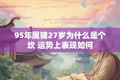 95年属猪27岁为什么是个坎 运势上表现如何