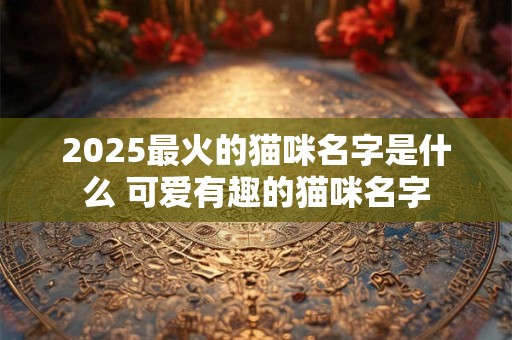 2025最火的猫咪名字是什么 可爱有趣的猫咪名字