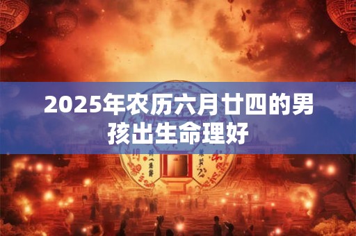2025年农历六月廿四的男孩出生命理好