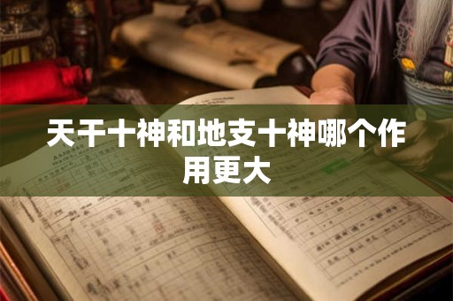 天干十神和地支十神哪个作用更大