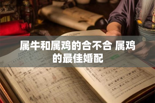 属牛和属鸡的合不合 属鸡的最佳婚配