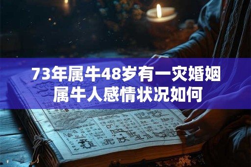 73年属牛48岁有一灾婚姻 属牛人感情状况如何