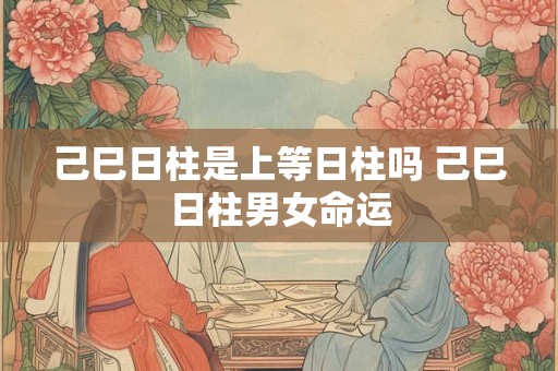 己巳日柱是上等日柱吗 己巳日柱男女命运 己巳日柱是上等日柱吗 己巳日柱男女命运