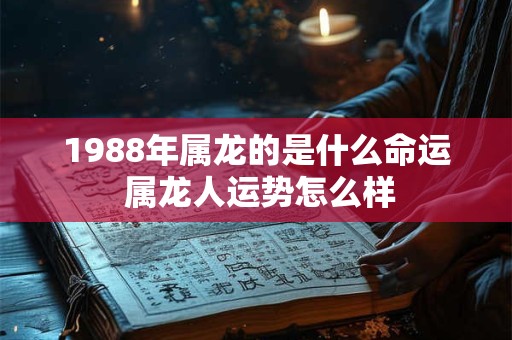 1988年属龙的是什么命运 属龙人运势怎么样