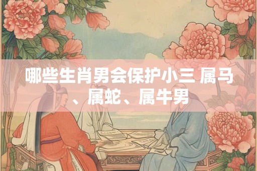 哪些生肖男会保护小三 属马、属蛇、属牛男