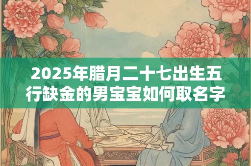 2025年腊月二十七出生五行缺金的男宝宝如何取名字