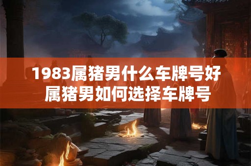 1983属猪男什么车牌号好 属猪男如何选择车牌号