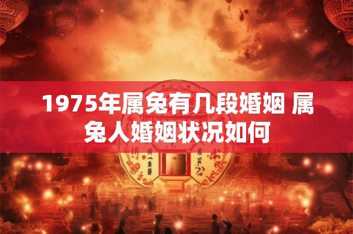 1975年属兔有几段婚姻 属兔人婚姻状况如何