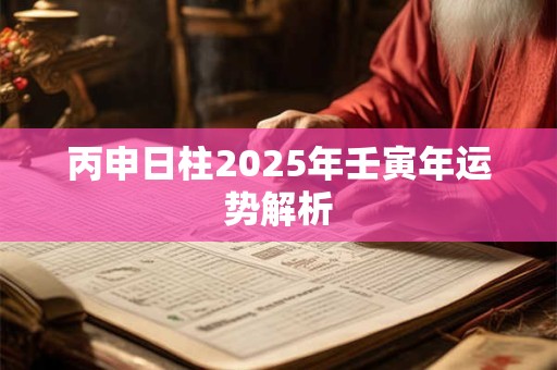 丙申日柱2025年壬寅年运势解析