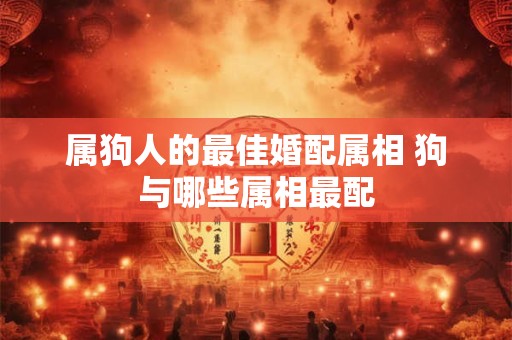 属狗人的最佳婚配属相 狗与哪些属相最配
