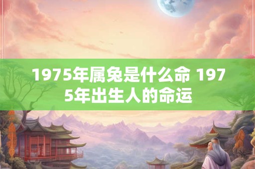 1975年属兔是什么命 1975年出生人的命运