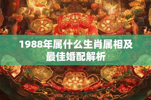 1988年属什么生肖属相及最佳婚配解析