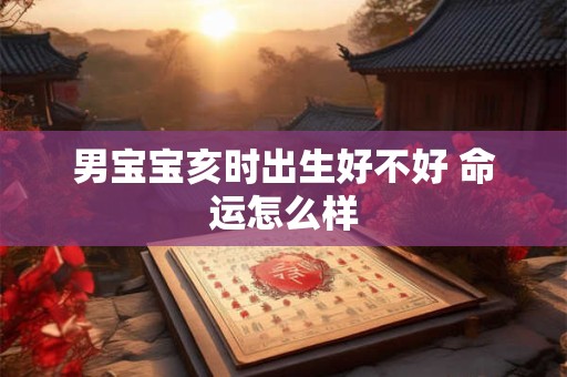 男宝宝亥时出生好不好 命运怎么样