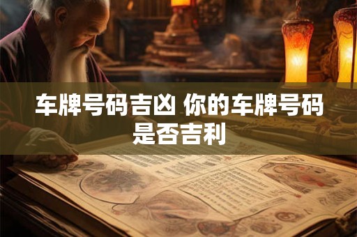 车牌号码吉凶 你的车牌号码是否吉利