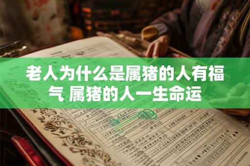 老人为什么是属猪的人有福气 属猪的人一生命运