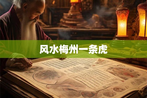 风水梅州一条虎