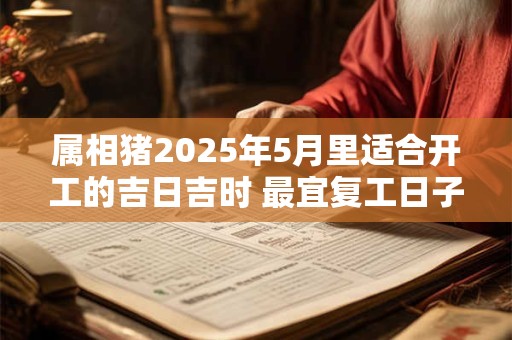 属相猪2025年5月里适合开工的吉日吉时 最宜复工日子
