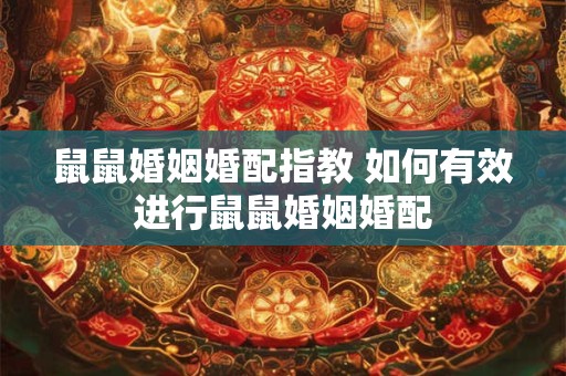 鼠鼠婚姻婚配指教 如何有效进行鼠鼠婚姻婚配
