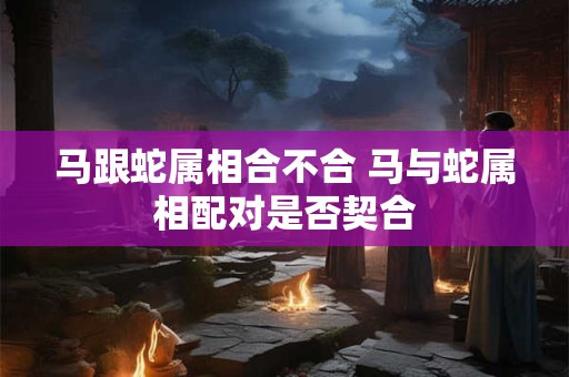 马跟蛇属相合不合 马与蛇属相配对是否契合