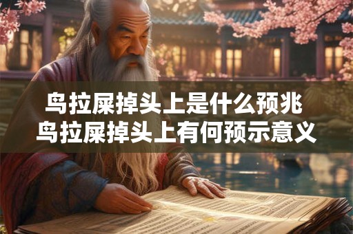 鸟拉屎掉头上是什么预兆 鸟拉屎掉头上有何预示意义