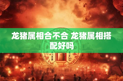 龙猪属相合不合 龙猪属相搭配好吗