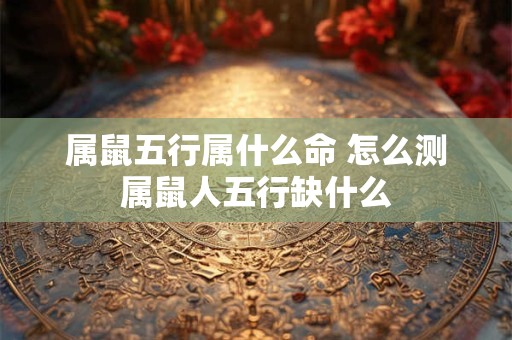 属鼠五行属什么命 怎么测属鼠人五行缺什么
