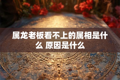 属龙老板看不上的属相是什么 原因是什么