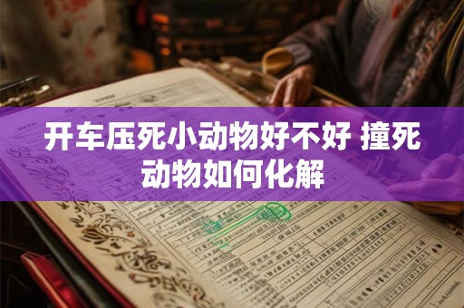 开车压死小动物好不好 撞死动物如何化解