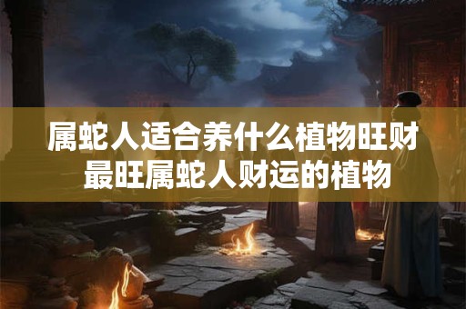 属蛇人适合养什么植物旺财 最旺属蛇人财运的植物