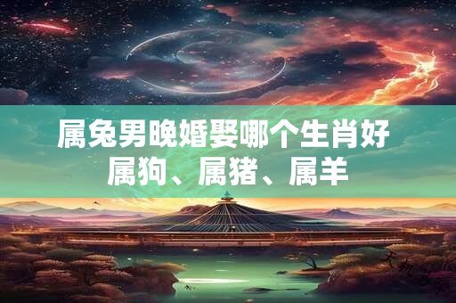 属兔男晚婚娶哪个生肖好 属狗、属猪、属羊