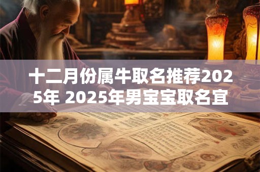 十二月份属牛取名推荐2025年 2025年男宝宝取名宜用字