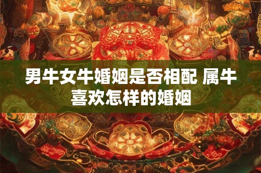 男牛女牛婚姻是否相配 属牛喜欢怎样的婚姻