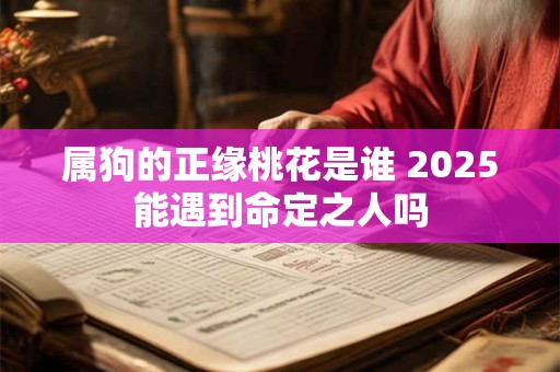 详细阅读:属狗的正缘桃花是谁 2025能遇到命定之人吗 属狗的正缘桃花是谁 2025能遇到命定之人吗