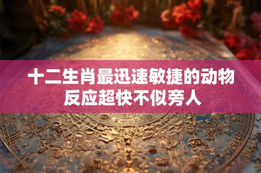 十二生肖最迅速敏捷的动物 反应超快不似旁人 十二生肖最迅速敏捷的动物 反应超快不似旁人