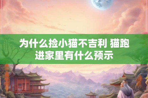 为什么捡小猫不吉利 猫跑进家里有什么预示 为什么捡小猫不吉利 猫跑进家里有什么预示