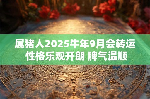 属猪人2025牛年9月会转运 性格乐观开朗 脾气温顺