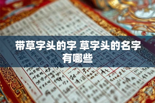 带草字头的字 草字头的名字有哪些