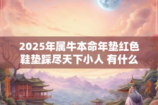 2025年属牛本命年垫红色鞋垫踩尽天下小人 有什么讲究