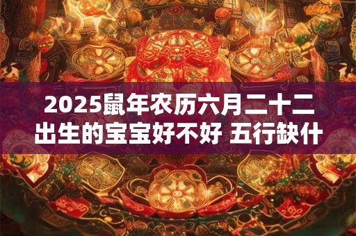 2025鼠年农历六月二十二出生的宝宝好不好 五行缺什么