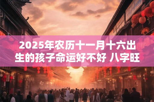 2025年农历十一月十六出生的孩子命运好不好 八字旺吗
