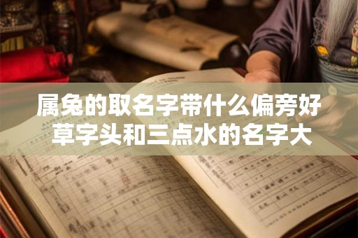 属兔的取名字带什么偏旁好 草字头和三点水的名字大全集