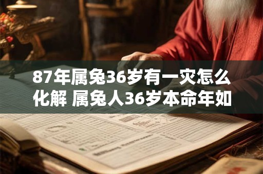 87年属兔36岁有一灾怎么化解 属兔人36岁本命年如何转运