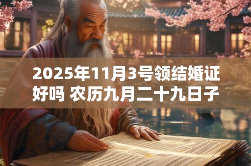 2025年11月3号领结婚证好吗 农历九月二十九日子黄历