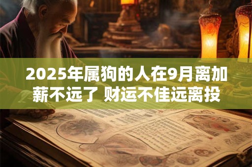 2025年属狗的人在9月离加薪不远了 财运不佳远离投资陷阱