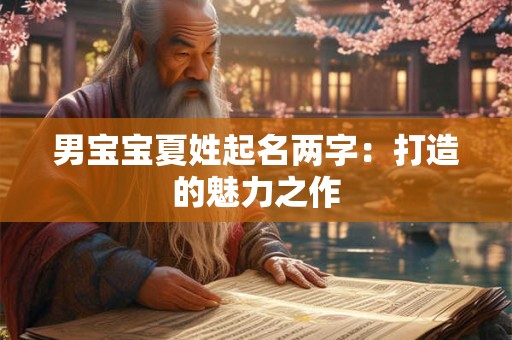 男宝宝夏姓起名两字：打造的魅力之作