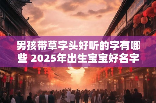 男孩带草字头好听的字有哪些 2025年出生宝宝好名字