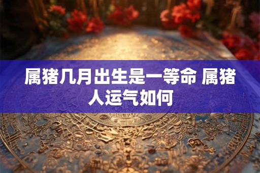 属猪几月出生是一等命 属猪人运气如何