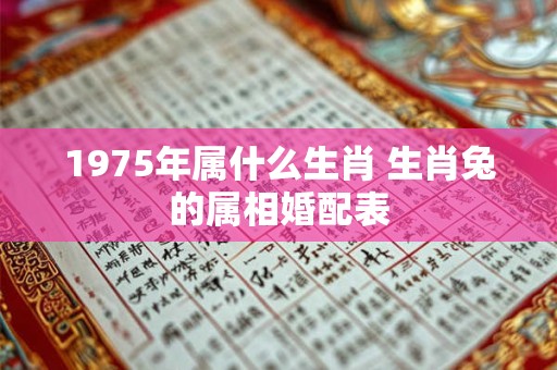 1975年属什么生肖 生肖兔的属相婚配表